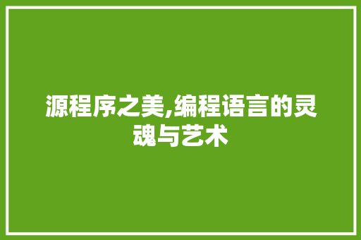 源程序之美,编程语言的灵魂与艺术
