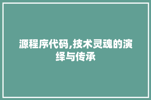 源程序代码,技术灵魂的演绎与传承