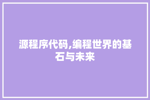 源程序代码,编程世界的基石与未来