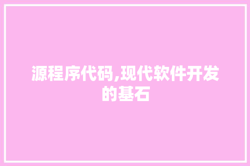 源程序代码,现代软件开发的基石