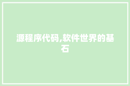 源程序代码,软件世界的基石