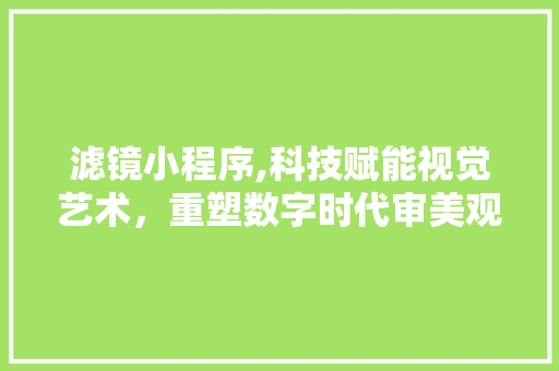 滤镜小程序,科技赋能视觉艺术，重塑数字时代审美观
