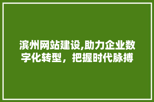 滨州网站建设,助力企业数字化转型，把握时代脉搏