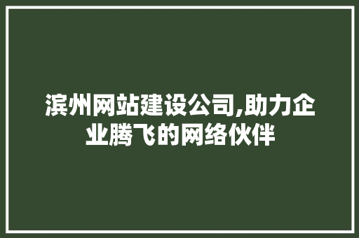 滨州网站建设公司,助力企业腾飞的网络伙伴