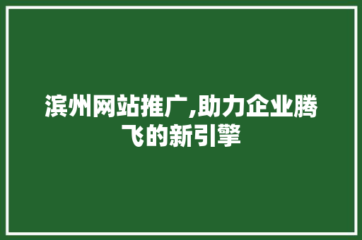 滨州网站推广,助力企业腾飞的新引擎 滨州网站推广,助力企业腾飞的新引擎 必应SEO