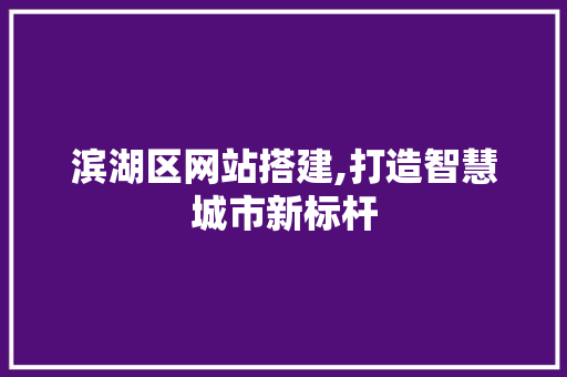 滨湖区网站搭建,打造智慧城市新标杆