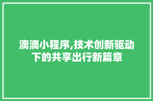 滴滴小程序,技术创新驱动下的共享出行新篇章