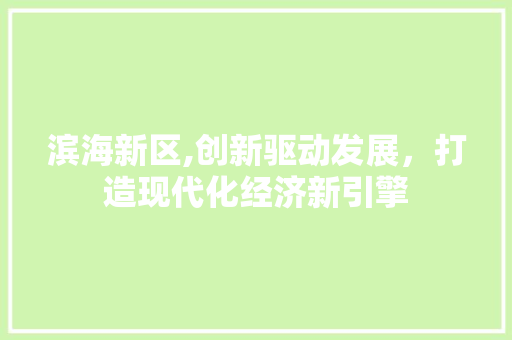滨海新区,创新驱动发展，打造现代化经济新引擎