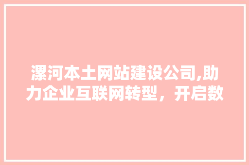 漯河本土网站建设公司,助力企业互联网转型，开启数字时代新篇章
