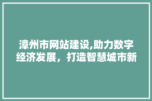 漳州市网站建设,助力数字经济发展，打造智慧城市新名片