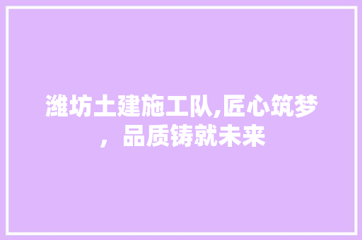 潍坊土建施工队,匠心筑梦，品质铸就未来