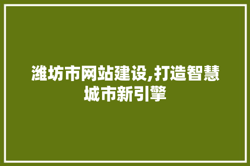 潍坊市网站建设,打造智慧城市新引擎