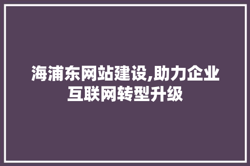 海浦东网站建设,助力企业互联网转型升级