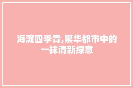 海淀四季青,繁华都市中的一抹清新绿意
