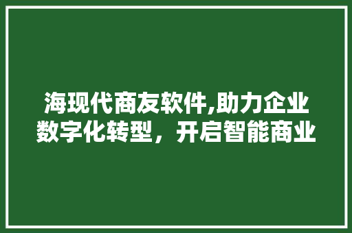 海现代商友软件,助力企业数字化转型，开启智能商业新篇章