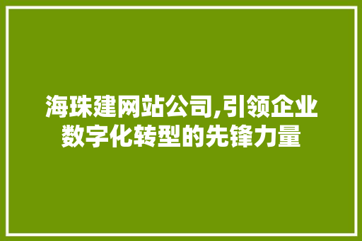 海珠建网站公司,引领企业数字化转型的先锋力量
