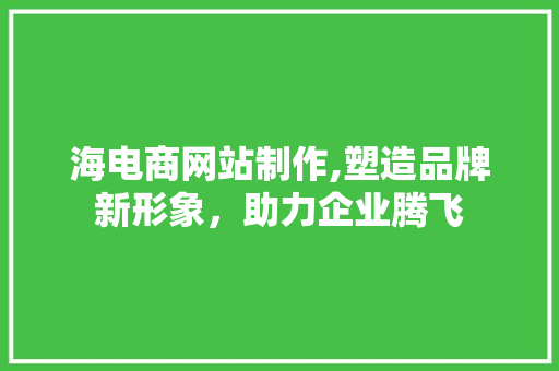 海电商网站制作,塑造品牌新形象，助力企业腾飞