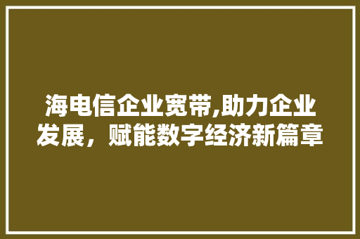 海电信企业宽带,助力企业发展，赋能数字经济新篇章
