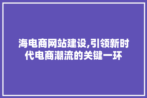 海电商网站建设,引领新时代电商潮流的关键一环