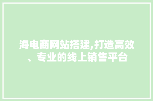 海电商网站搭建,打造高效、专业的线上销售平台