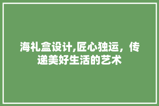 海礼盒设计,匠心独运，传递美好生活的艺术