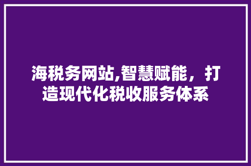 海税务网站,智慧赋能，打造现代化税收服务体系