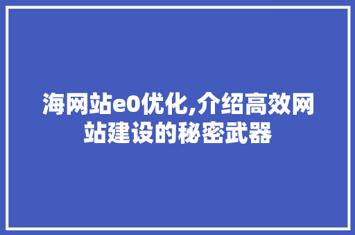 海网站e0优化,介绍高效网站建设的秘密武器