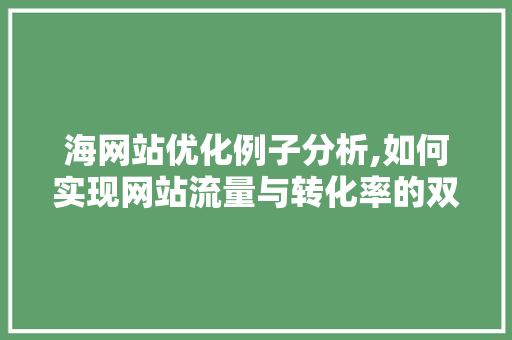 海网站优化例子分析,如何实现网站流量与转化率的双提升