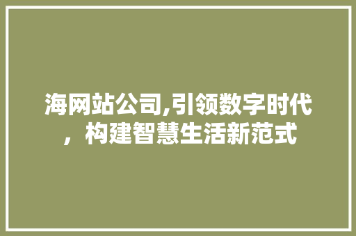 海网站公司,引领数字时代，构建智慧生活新范式