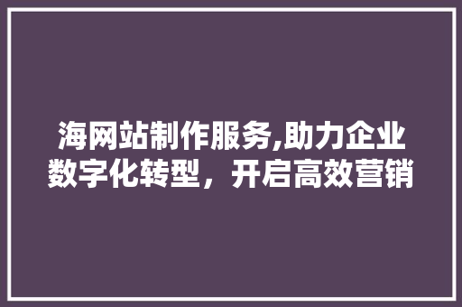 海网站制作服务,助力企业数字化转型，开启高效营销新篇章