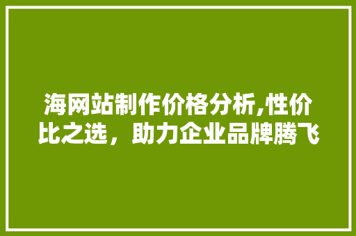 海网站制作价格分析,性价比之选，助力企业品牌腾飞