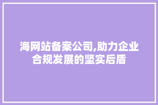 海网站备案公司,助力企业合规发展的坚实后盾
