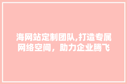 海网站定制团队,打造专属网络空间，助力企业腾飞