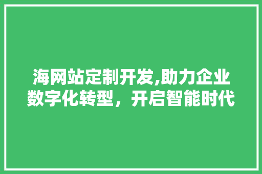 海网站定制开发,助力企业数字化转型，开启智能时代新篇章