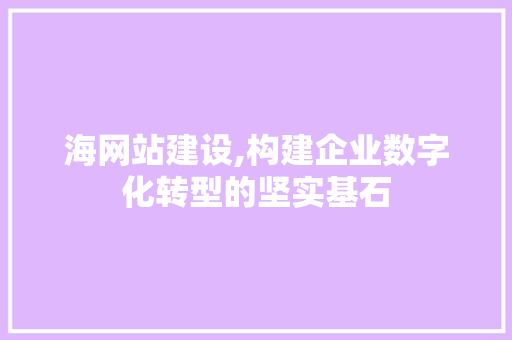 海网站建设,构建企业数字化转型的坚实基石