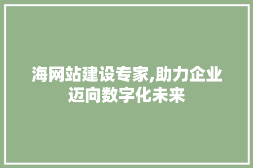 海网站建设专家,助力企业迈向数字化未来
