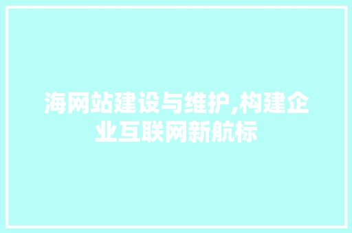 海网站建设与维护,构建企业互联网新航标