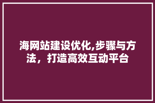 海网站建设优化,步骤与方法，打造高效互动平台