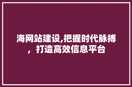 海网站建设,把握时代脉搏，打造高效信息平台