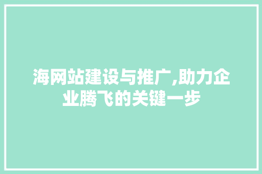海网站建设与推广,助力企业腾飞的关键一步