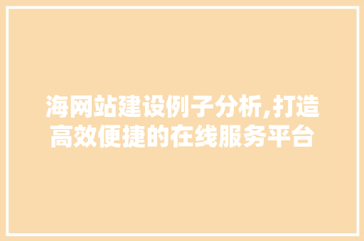 海网站建设例子分析,打造高效便捷的在线服务平台