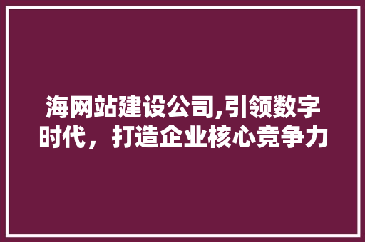 海网站建设公司,引领数字时代，打造企业核心竞争力