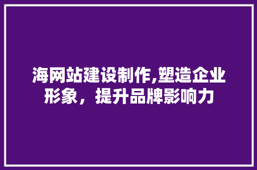 海网站建设制作,塑造企业形象，提升品牌影响力