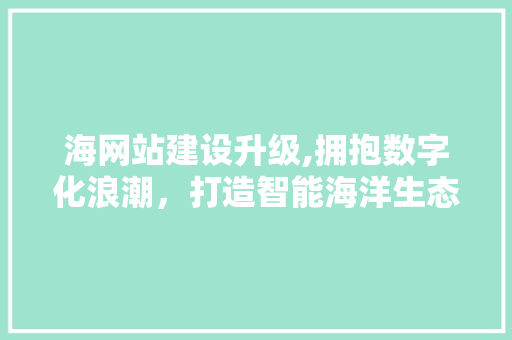 海网站建设升级,拥抱数字化浪潮，打造智能海洋生态圈