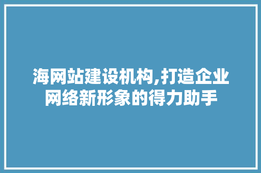 海网站建设机构,打造企业网络新形象的得力助手