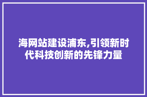 海网站建设浦东,引领新时代科技创新的先锋力量