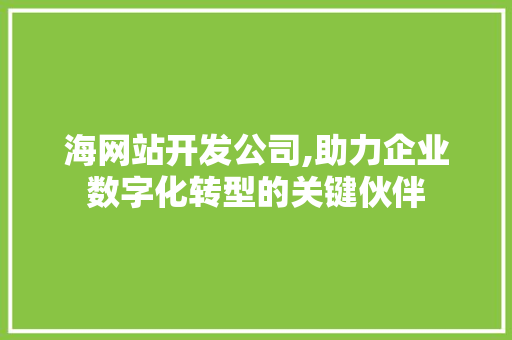 海网站开发公司,助力企业数字化转型的关键伙伴