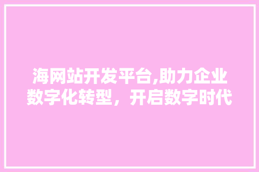 海网站开发平台,助力企业数字化转型，开启数字时代新篇章