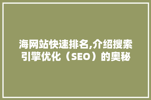 海网站快速排名,介绍搜索引擎优化（SEO）的奥秘