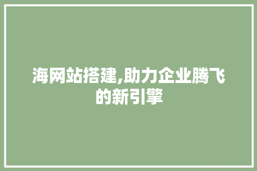 海网站搭建,助力企业腾飞的新引擎